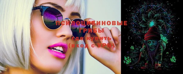 шишки Балабаново