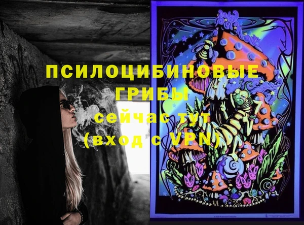шишки Балабаново