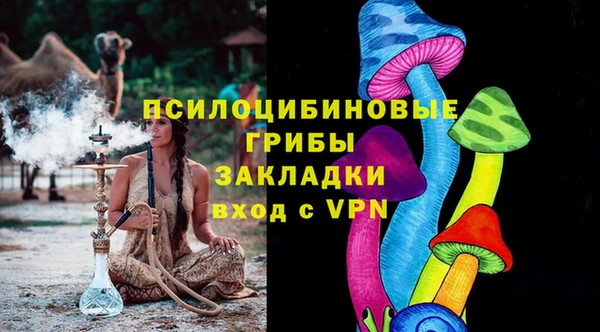 ECSTASY Покров