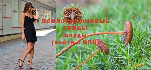 шишки Балабаново