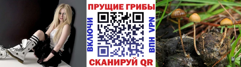 Галлюциногенные грибы ЛСД  хочу наркоту  Петушки 